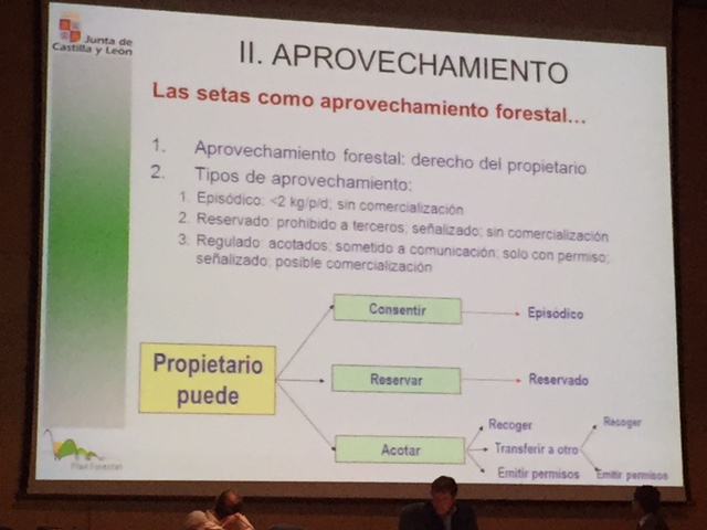 Aprovechamiento forestal según el proyecto de decreto de regulación de la micología en Castilla y León