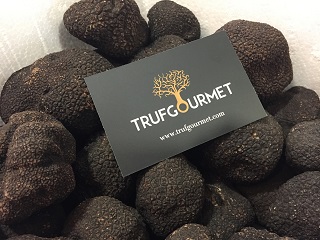 Extra black truffle from Trufgourmet SL